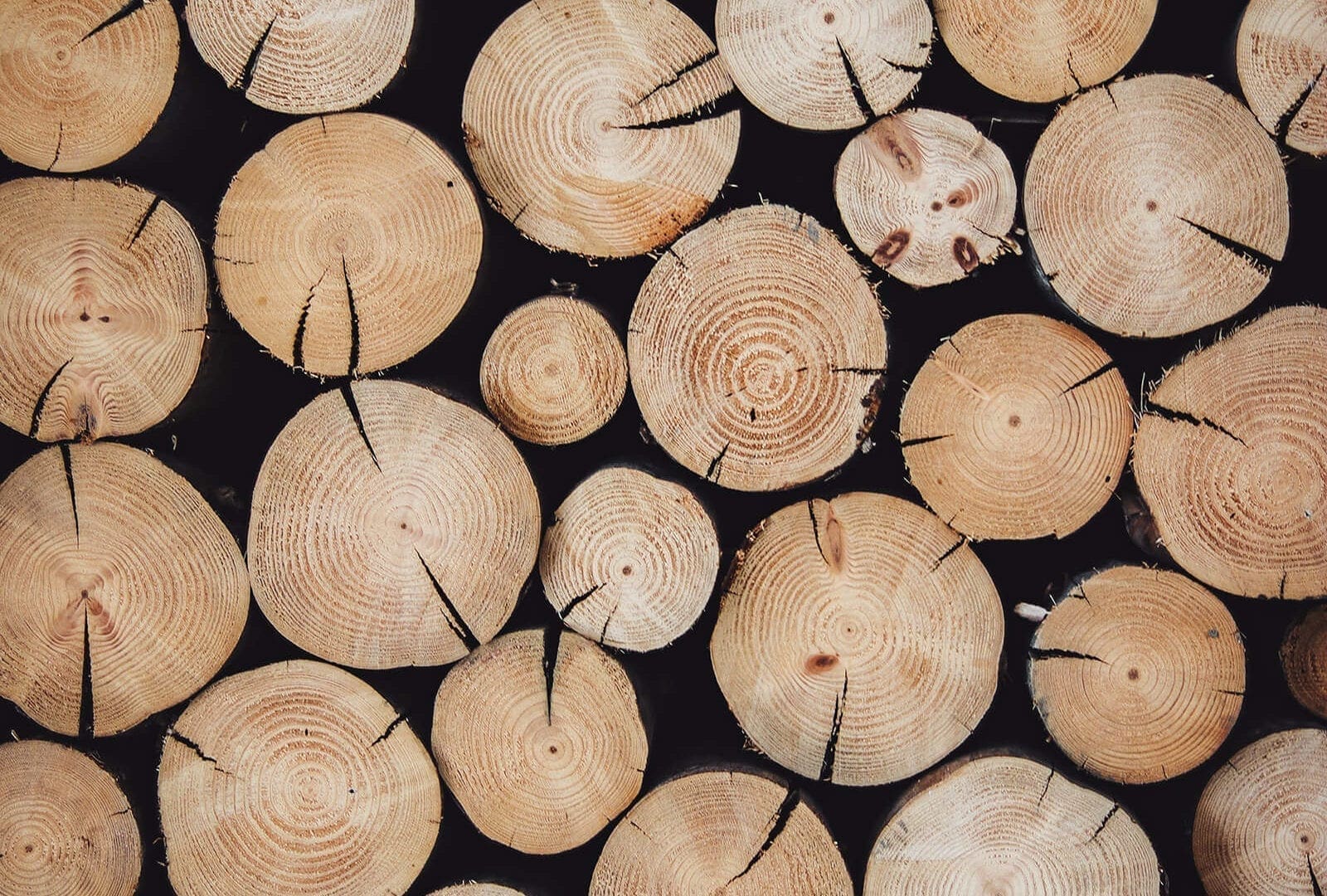 Trästockar i tvärsnitt på Eksjöhus sågverk